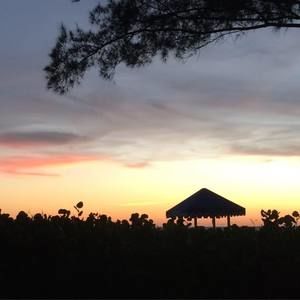 Meet your Posher, Cathy